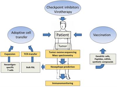 Neoantigen Targeting—Dawn of a New Era in Cancer Immunotherapy?